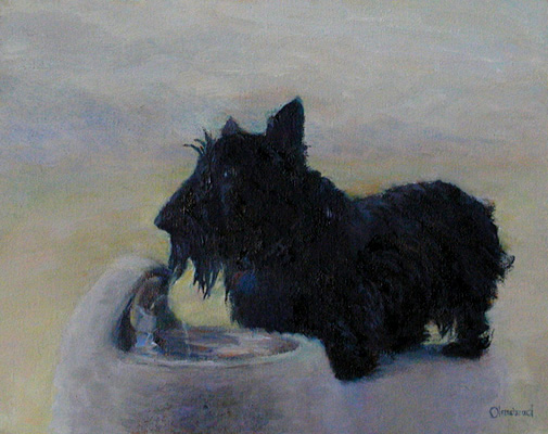 Christy - my brother's Scottish Terrier